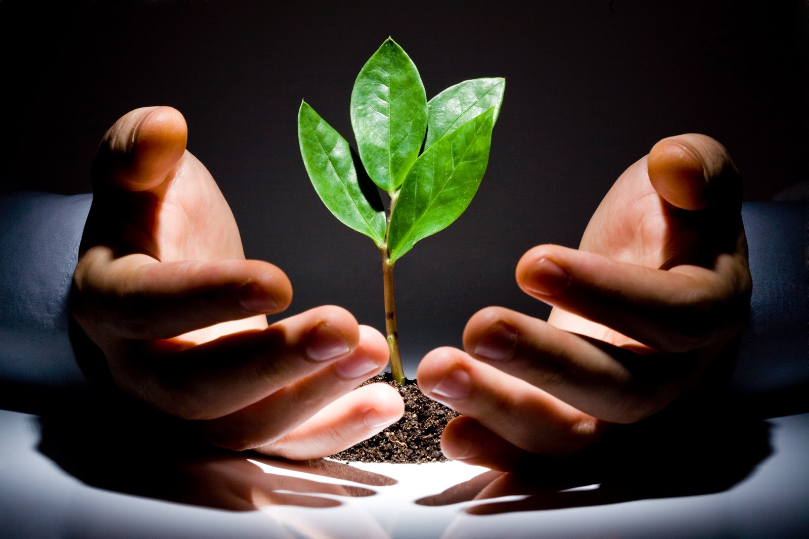 Venture-Capital
