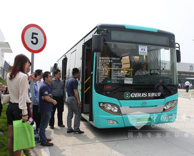 bus