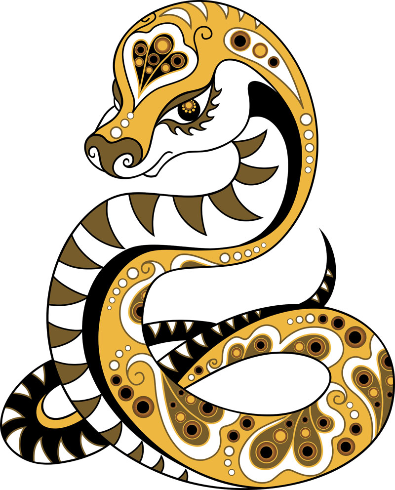 year-of-the-snake