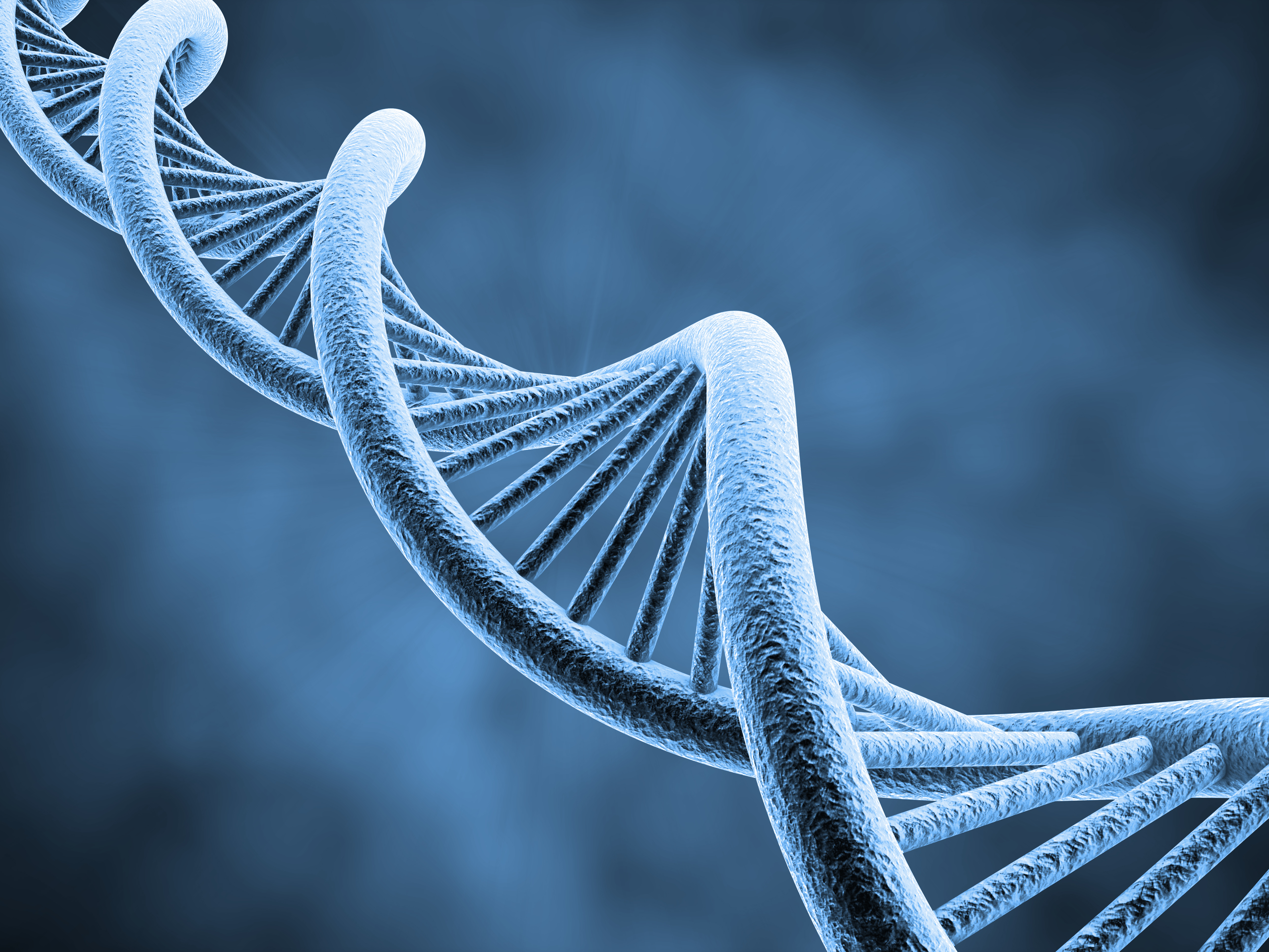 gene