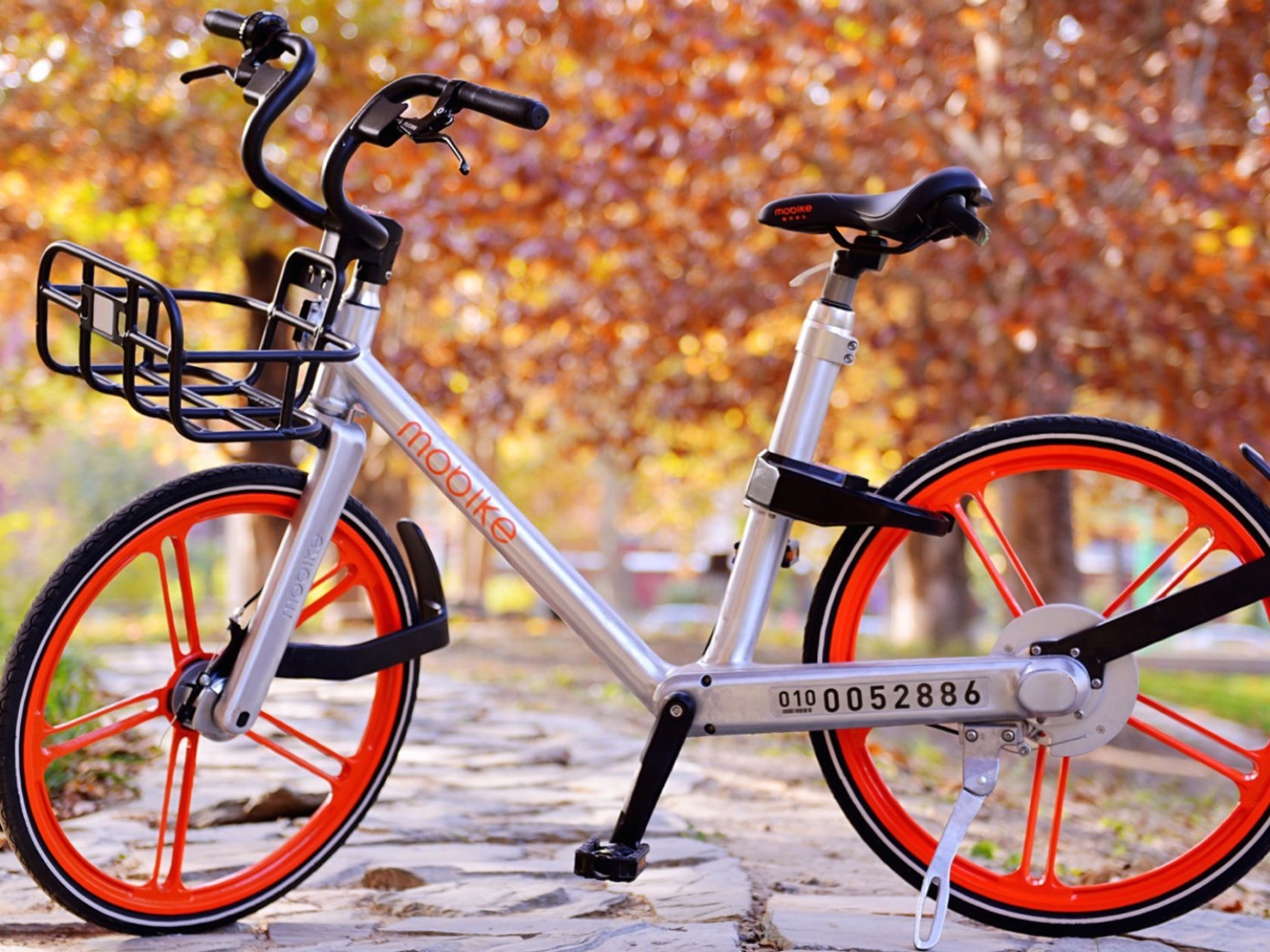 mobike8