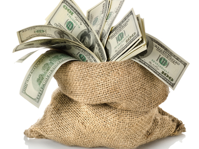 money-bag7