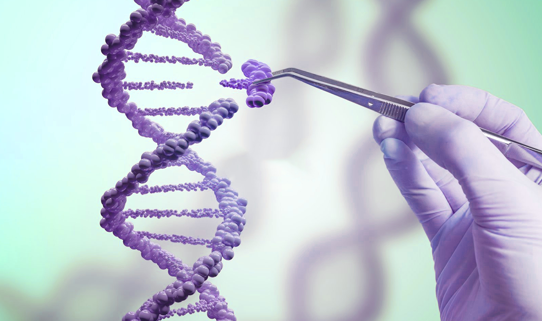 Gene