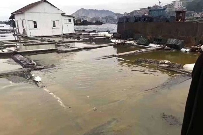 chemical leak in Fujian