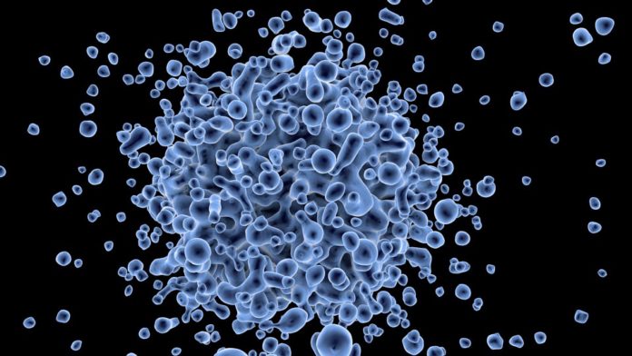 virus-163471_960_720