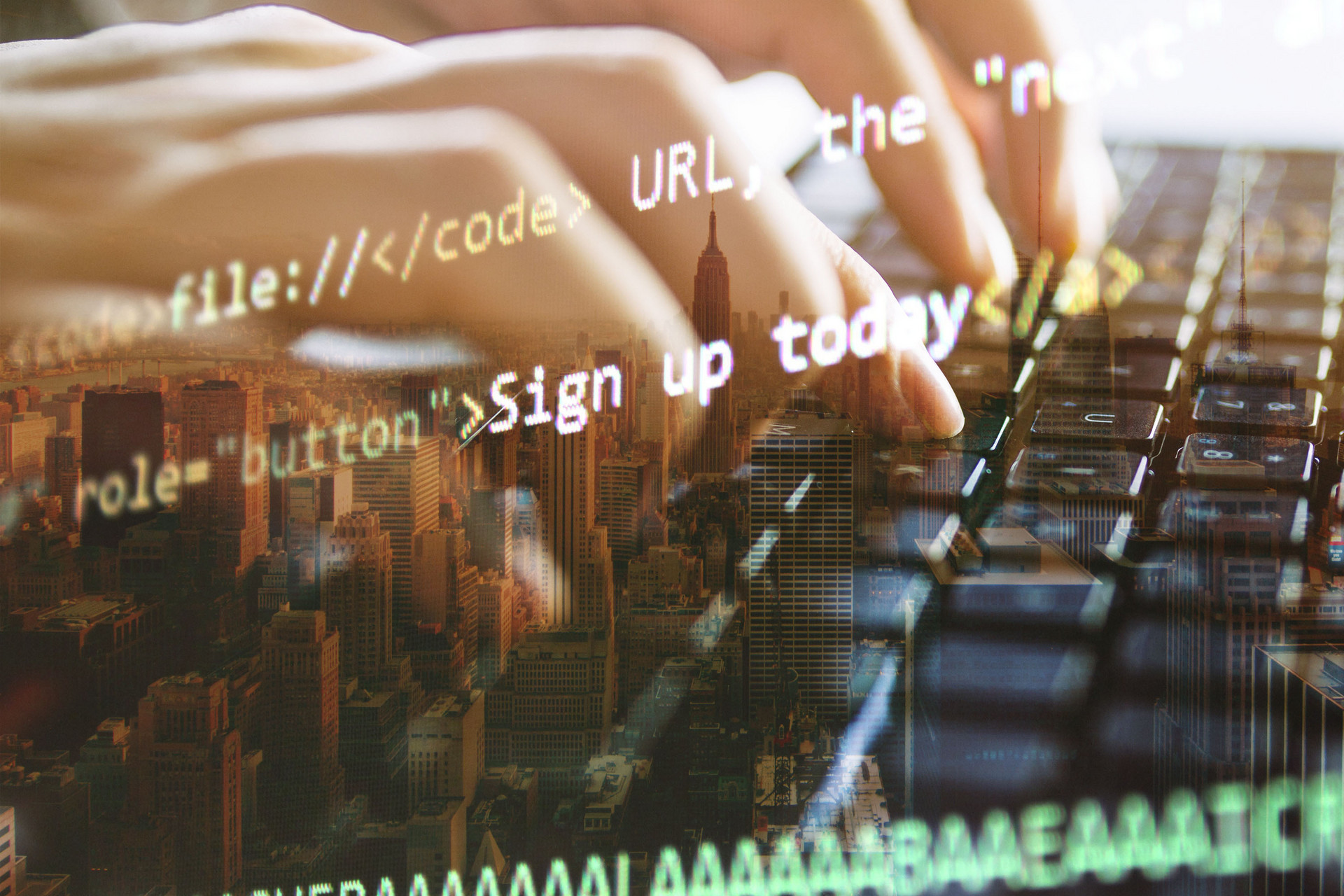 website-program