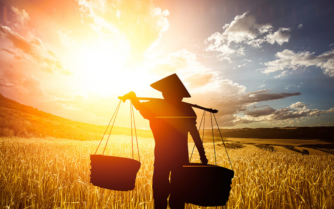 agriculture