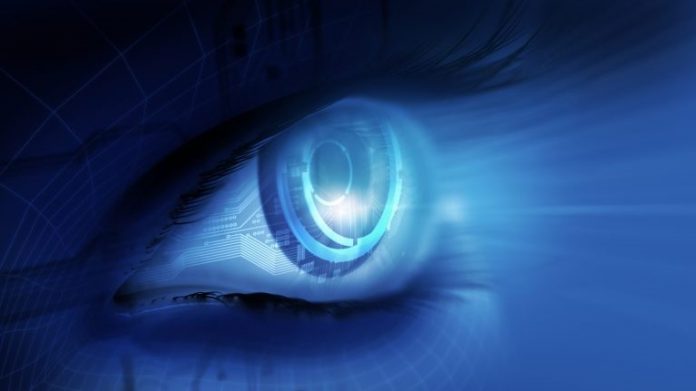 eye