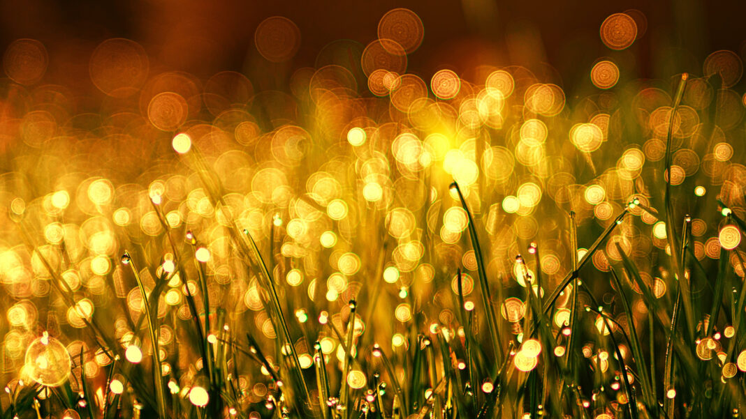 gold
